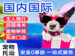 长沙黄花机场货运国际宠物托运 【国